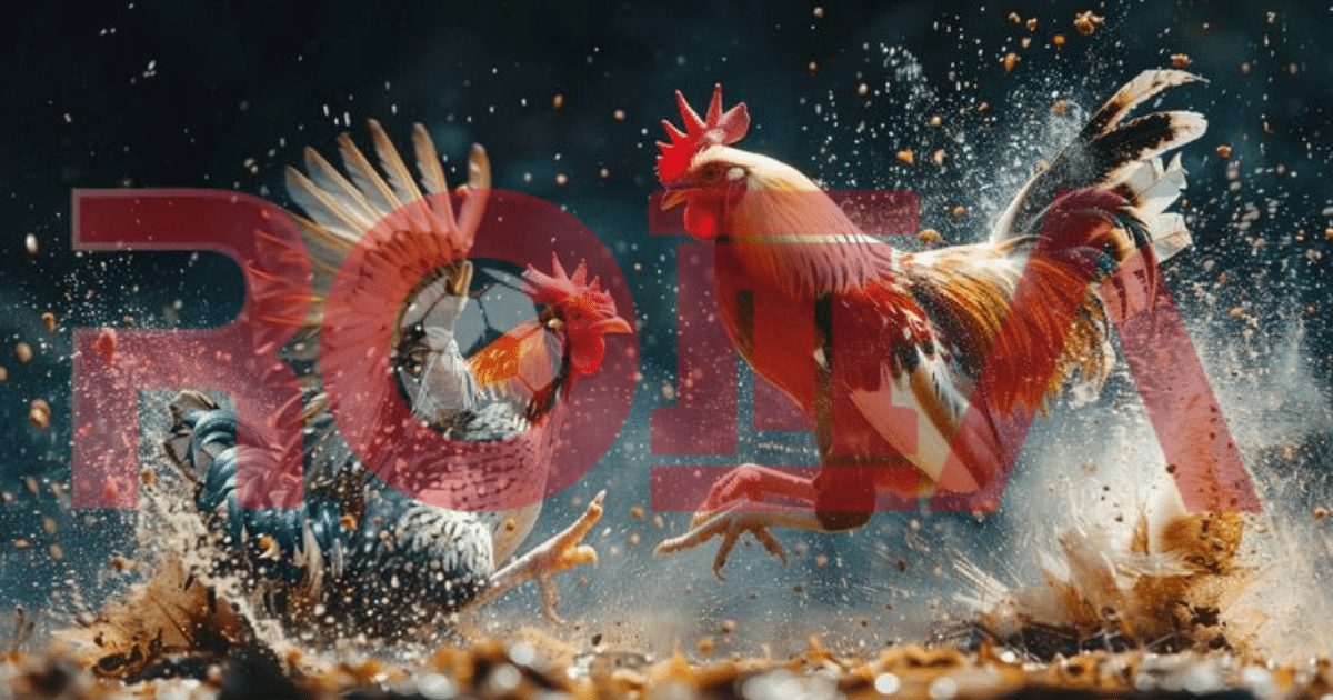 SV388: CHIẾN THUẬT “MỎ NEO” GIÚP HỆ THỐNG ĐẠI LÝ ROMA LUÔN NÓNG MỖI NGÀY