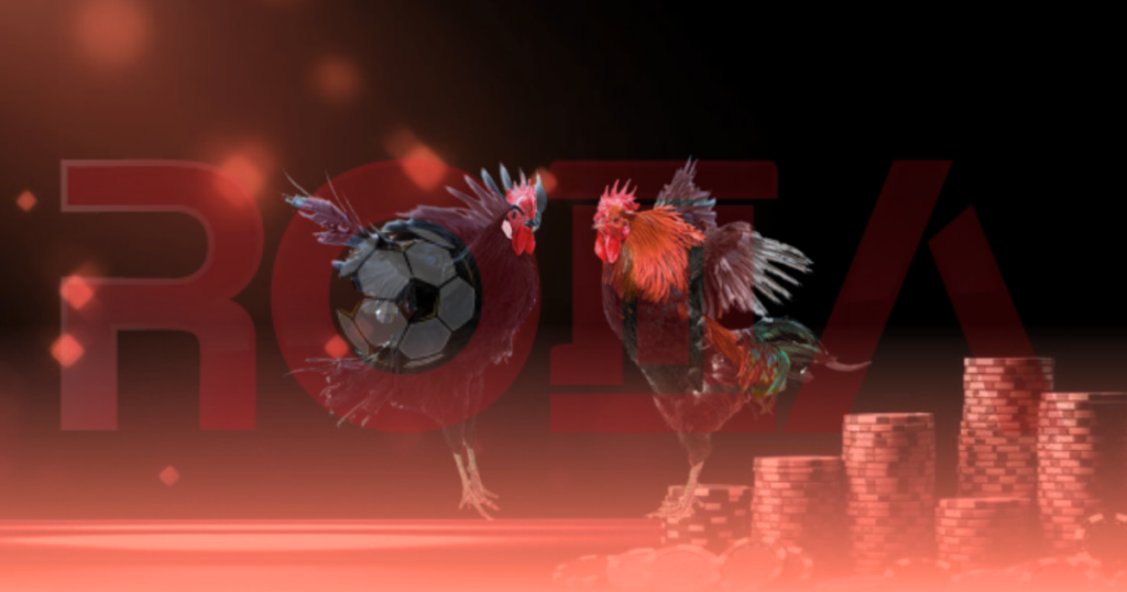 Cược đá gà trực tuyến