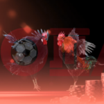 Cược đá gà trực tuyến